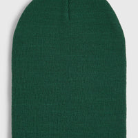 Dolomite Beanie | Emerald Envy