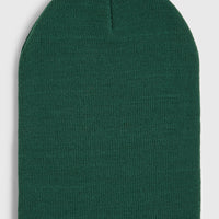 Dolomite Beanie | Emerald Envy