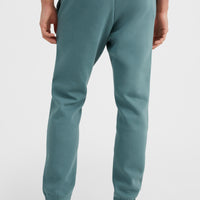 Future Surf Sweatpants | North Atlantic