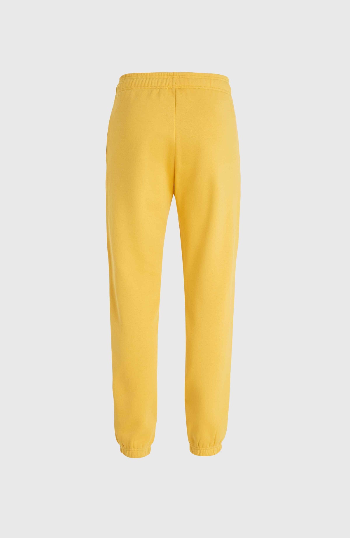 Future Surf Society Jogger Pants | Golden Haze – O'Neill