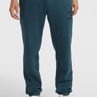 Future Surf Society Sweatpants | Alma Steel