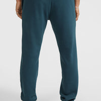 Future Surf Society Sweatpants | Alma Steel