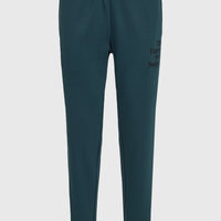 Future Surf Society Sweatpants | Alma Steel