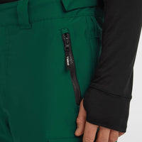FWC'Cruz Cargo Snow Pants | Emerald Envy
