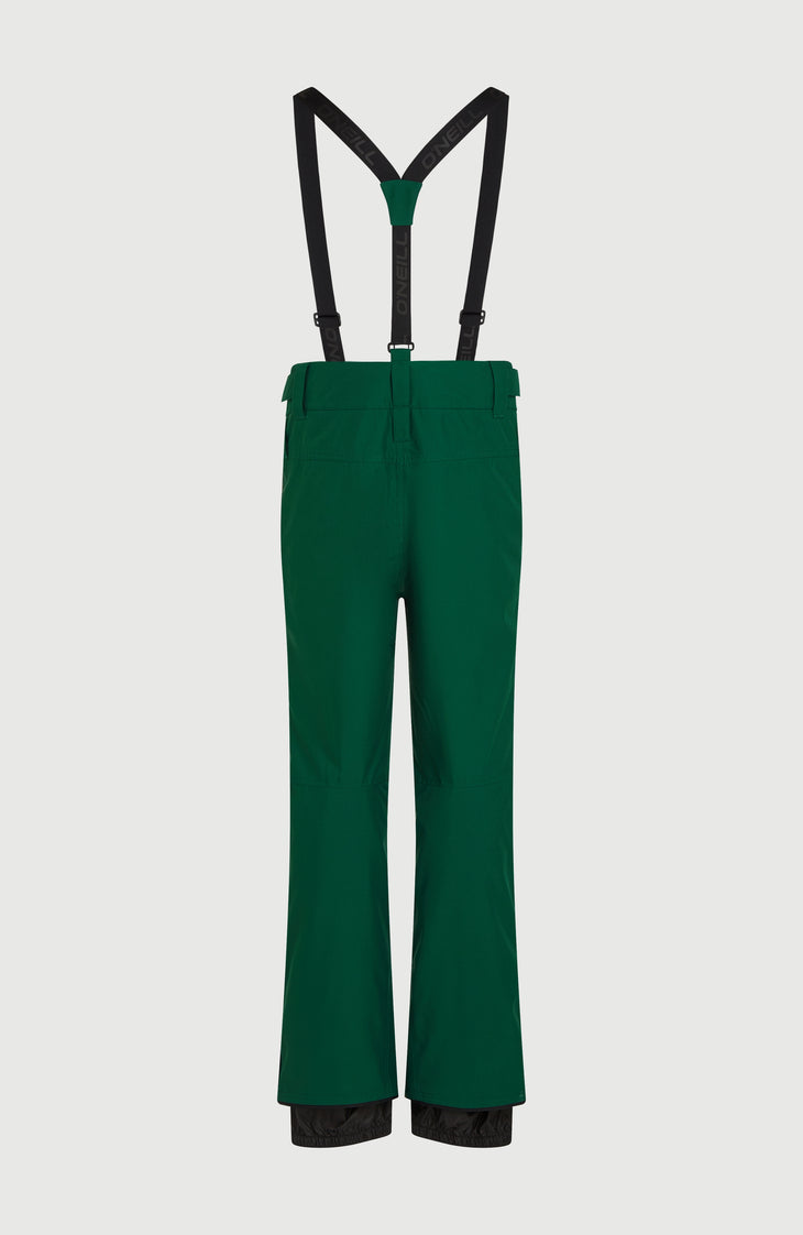 FWC'Cruz Suspender Snow Pants | Emerald Envy