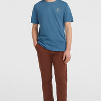 Essentials Chino Pants | Hazel Spice