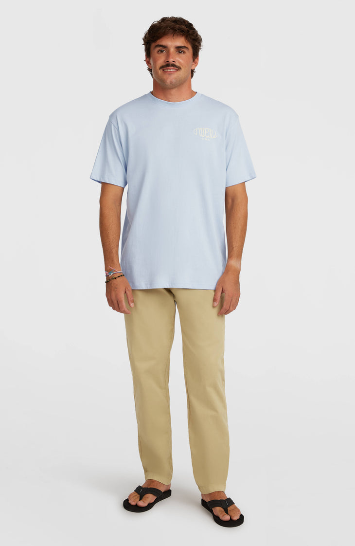 Essentials Chino Pants | Oak Ridge