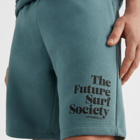 Future Surf Sweatshorts | North Atlantic