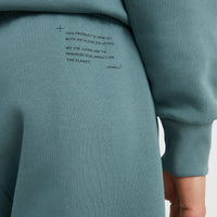 Future Surf Sweatshorts | North Atlantic