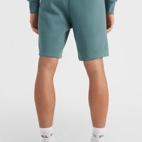 Future Surf Sweatshorts | North Atlantic