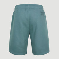 Future Surf Sweatshorts | North Atlantic