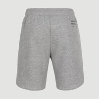 Future Surf Sweatshorts | Silver Melee