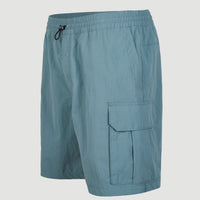 Xtrm Trail Shorts | North Atlantic