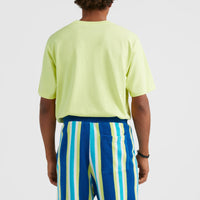 Brights Terry Short | Blue Towel Stripe