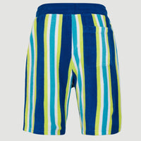 Brights Terry Short | Blue Towel Stripe