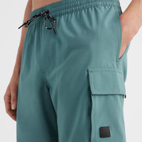 All Day 17'' Hybrid Shorts | North Atlantic