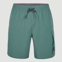 All Day 17'' Hybrid Shorts | North Atlantic