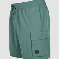 All Day 17'' Hybrid Shorts | North Atlantic