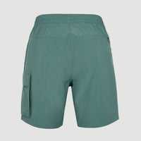 All Day 17'' Hybrid Shorts | North Atlantic