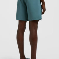 Easton Cargo 17'' Hybrid Shorts | North Atlantic