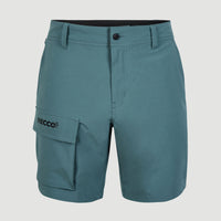 Easton Cargo 17'' Hybrid Shorts | North Atlantic