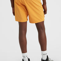 Easton Cargo 17'' Hybrid Shorts | Nugget