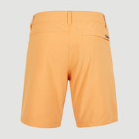 Easton Cargo 17'' Hybrid Shorts | Nugget