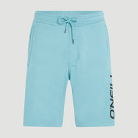 O'Neill Logo Sweatshorts | Ripling Shores