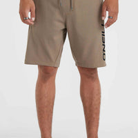 O'Neill Logo Sweatshorts | Pumpkin Smoke