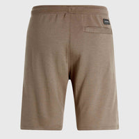 O'Neill Logo Sweatshorts | Pumpkin Smoke