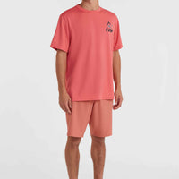 O'Neill Hybrid Chino Shorts | Red Orcher