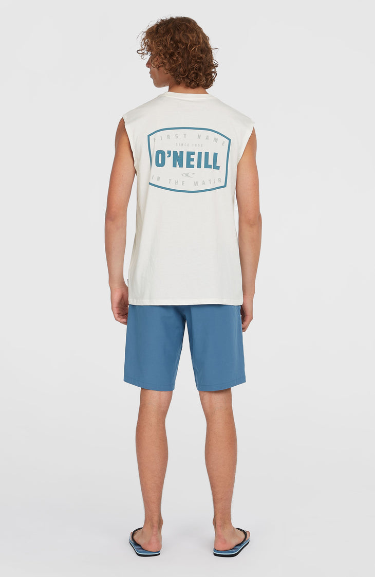 Hybrid Chino 19" Shorts | Copen Blue