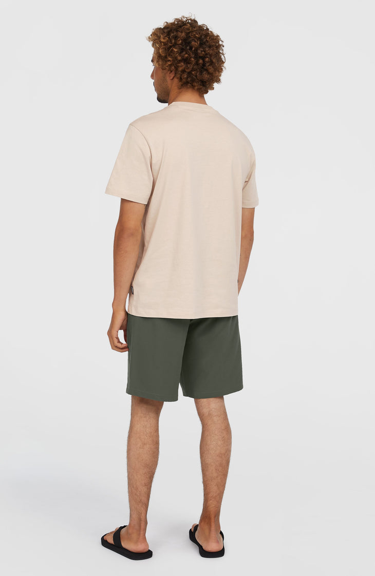 Hybrid Chino 19" Shorts | Raven