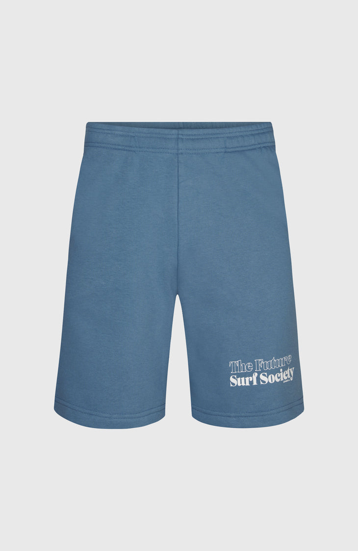Future Surf Society Shorts | Copen Blue