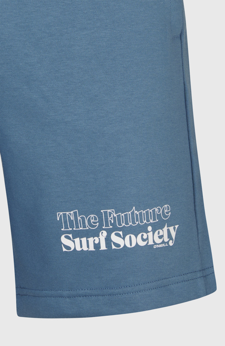 Future Surf Society Shorts | Copen Blue