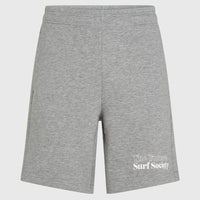 Future Surf Society Shorts | Silver Melee