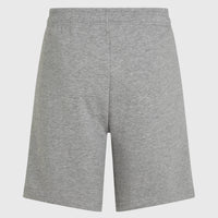 Future Surf Society Shorts | Silver Melee