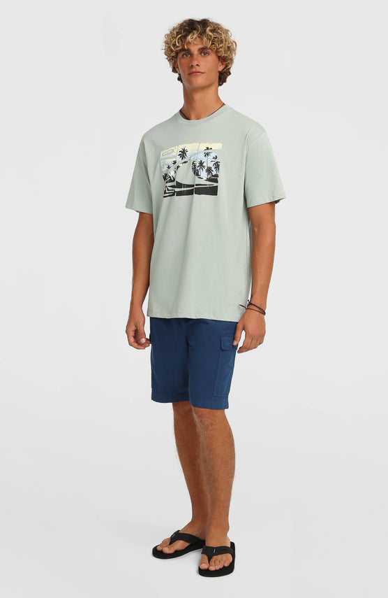 O’Neill Essentials Ripstop Cargo Shorts | English Evening