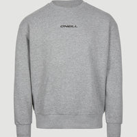 Future Surf Crew Sweatshirt | Silver Melee