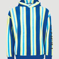 Brights Terry Hoodie | Blue Towel Stripe