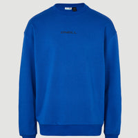 Future Surf Society Sweatshirt | Surf the web Blue