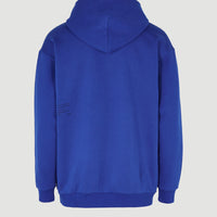 Future Surf Society Hoodie | Surf the web Blue