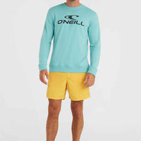 O`Neill Logo Crew Sweatshirt | Ripling Shores