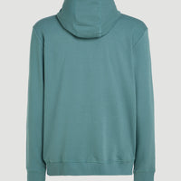 Small Logo Full-Zip Hoodie | North Atlantic
