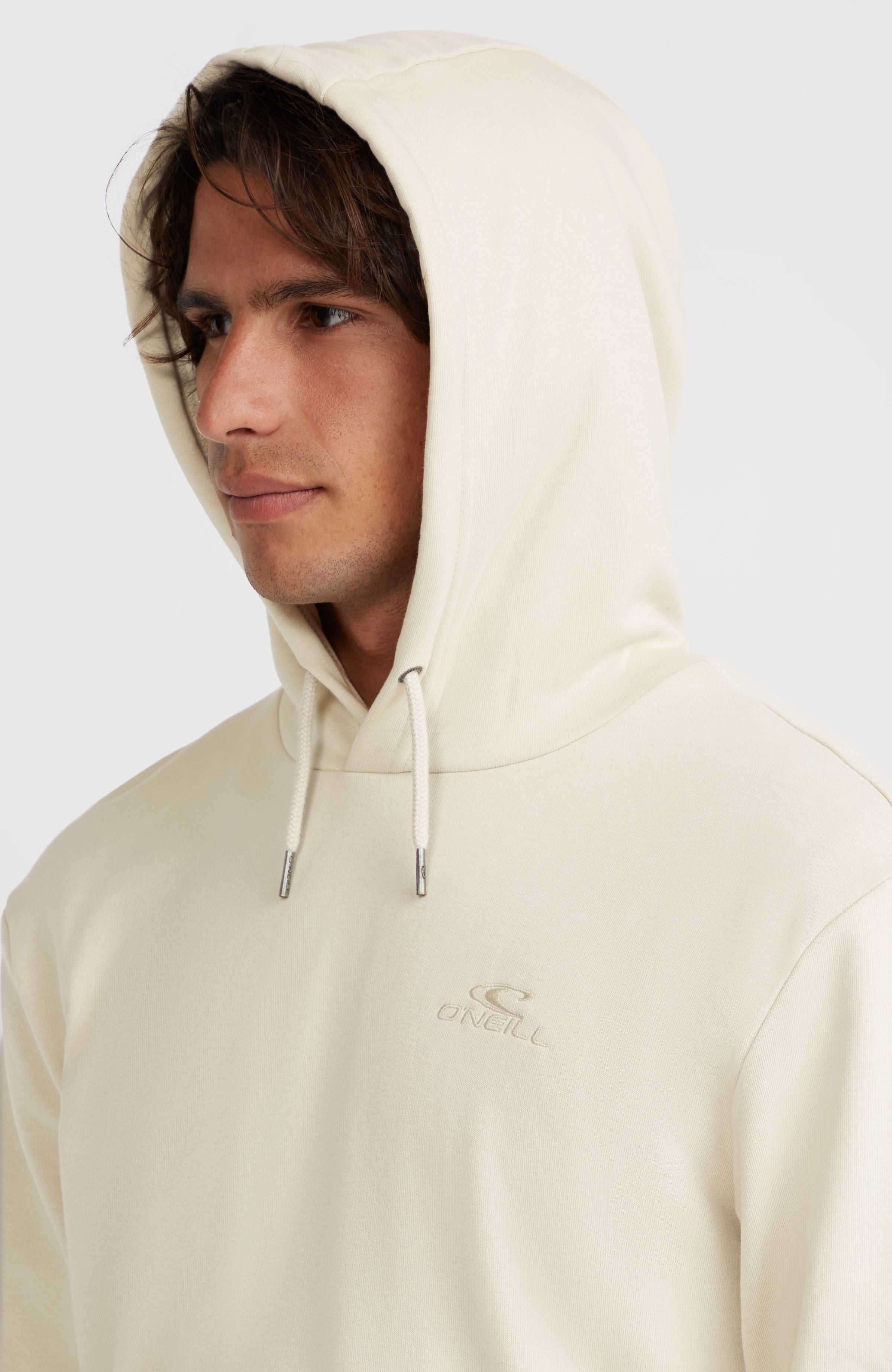 Small Logo Hoodie | Atmosphere – O'Neill