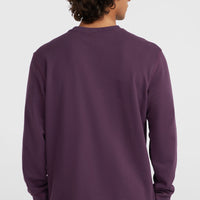 Small Logo Crew Sweatshirt | Aubergine