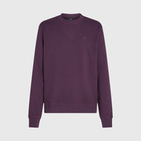 Small Logo Crew Sweatshirt | Aubergine