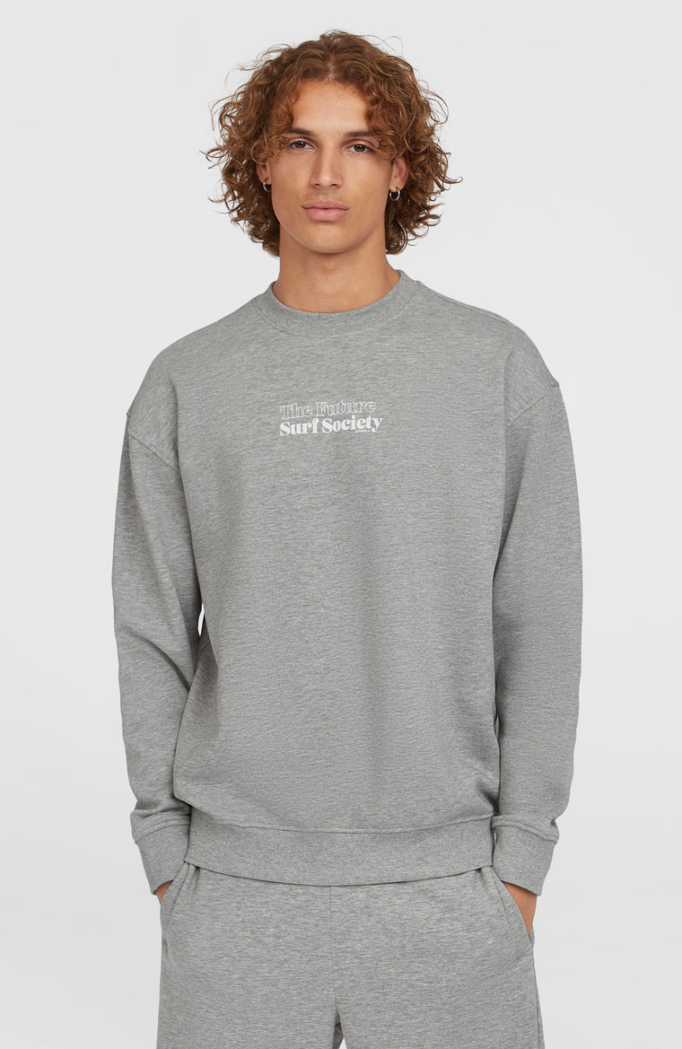 Future Surf Crew Sweatshirt | Silver Melee