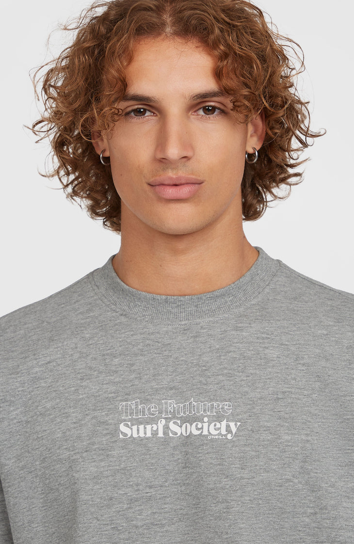 Future Surf Crew Sweatshirt | Silver Melee