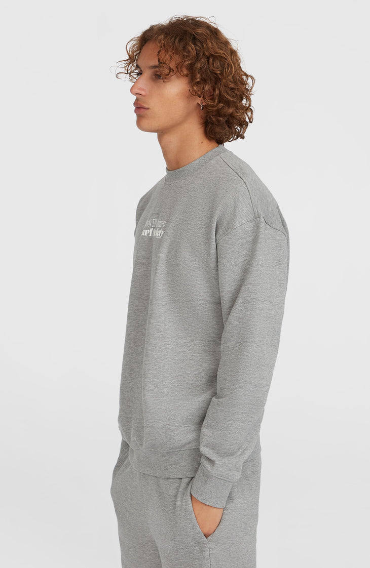 Future Surf Crew Sweatshirt | Silver Melee